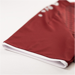 JAKO Dynamo Dresden Ausweichtrikot 2024/25 Herren 150 - weinrot 4XL