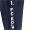 hummel 1. FC Köln Ausweich Sleeve-Stutzen 2024/25 7666 - peacoat 2 (Senior)