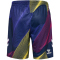 hummel 1. FC Köln Torwartshorts 2024/25 Kinder