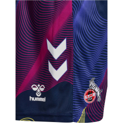 hummel 1. FC K&ouml;ln Torwartshorts 2024/25