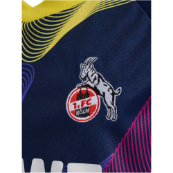 hummel 1. FC K&ouml;ln Torwarttrikot 2024/25 Kinder