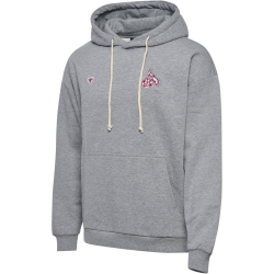 hummel 1. FC K&ouml;ln Fan-Hoodie 2024/25 2006 - grey...