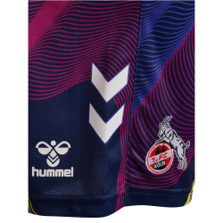 hummel 1. FC K&ouml;ln Torwartshorts 2024/25 Kinder 7026 - marine 116