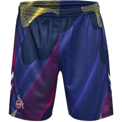 hummel 1. FC K&ouml;ln Torwartshorts 2024/25 7026 - marine S