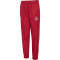 hummel 1. FC K&ouml;ln Line Up Trainingshose 2024/25 Kinder 3062 - true red 116