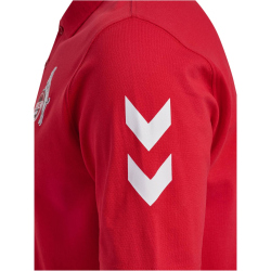 hummel 1. FC K&ouml;ln Travel Poloshirt 2024/25 Herren 3062 - true red S