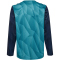 hummel 1. FC K&ouml;ln langam Aufw&auml;rmshirt 2024/25 Kinder 7851 - pagoda blue 116