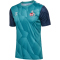 hummel 1. FC K&ouml;ln Aufw&auml;rmshirt 2024/25 7851 - pagoda blue M