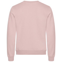 CLIQUE Miami Roundneck Sweatshirt 215 - candy pink XS