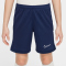 NIKE Academy 25 Dri-FIT Shorts Kinder