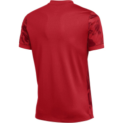 NIKE Precision VII Dri-FIT Trikot Herren