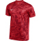 NIKE Precision VII Dri-FIT Trikot Herren