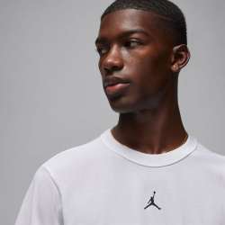 NIKE Jordan Sport Dri-FIT Performance T-Shirt Herren