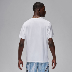 NIKE Jordan Sport Dri-FIT Performance T-Shirt Herren