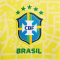 NIKE Brasilien 2024 Stadium Dri-FIT Heimtrikot Damen