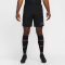 NIKE Academy 25 Dri-FIT Shorts Herren 010 - black/black/white S