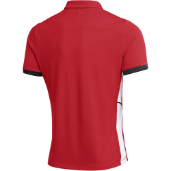 NIKE Academy 25 Dri-FIT Poloshirt Herren 657 - university red/black/white/white S