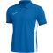 NIKE Academy 25 Dri-FIT Poloshirt Herren 463 - royal blue/midnight navy/white/white XS
