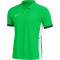 NIKE Academy 25 Dri-FIT Poloshirt Herren 329 - green spark/black/white/white S