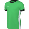 NIKE Academy 25 Dri-FIT Trainingsshirt Kinder 329 - green spark/black/white/white S (128-137 cm)