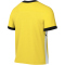 NIKE Academy 25 Dri-FIT T-Shirt Herren 719 - tour yellow/black/white/black S