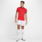 NIKE Academy 25 Dri-FIT T-Shirt Herren 657 - university red/black/white/white S
