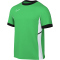 NIKE Academy 25 Dri-FIT T-Shirt Herren 329 - green spark/black/white/white S