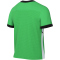 NIKE Academy 25 Dri-FIT T-Shirt Herren 329 - green spark/black/white/white S