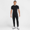 NIKE Academy 25 Dri-FIT T-Shirt Herren 010 - black/wolf grey/white/white S