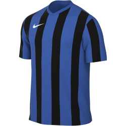 NIKE Academy 25 Dri-FIT Tanktop Herren 463 - royal...