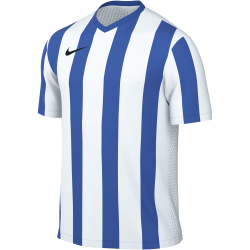 NIKE Division V Dri-FIT Stripe Trikot Kinder 101 -...