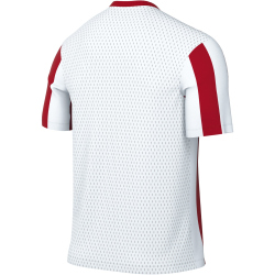 NIKE Division V Dri-FIT Stripe Trikot Herren 104 -...