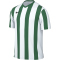 NIKE Division V Dri-FIT Stripe Trikot Herren 103 - white/pine green/black S