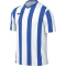 NIKE Division V Dri-FIT Stripe Trikot Herren 101 - white/royal blue/black XS