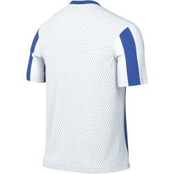 NIKE Division V Dri-FIT Stripe Trikot Herren 101 - white/royal blue/black S