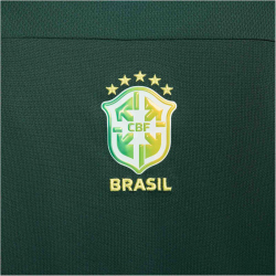 NIKE Brasilien Dri-FIT Fu&szlig;balltrikot Herren 397 - pro green/lt green spark/dynamic yellow L