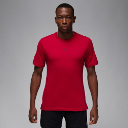 NIKE Jordan Sport Dri-FIT Performance T-Shirt Herren 687...