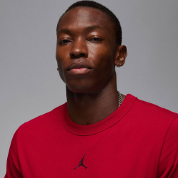 NIKE Jordan Sport Dri-FIT Performance T-Shirt Herren 687...