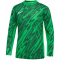 NIKE Gardien V Dri-FIT langarm Torwarttrikot Kinder 329 - green spark/pine green/white S (128-137 cm)