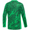 NIKE Gardien V Dri-FIT langarm Torwarttrikot Kinder 329 - green spark/pine green/white S (128-137 cm)