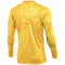 NIKE Gardien V Dri-FIT langarm Torwarttrikot Herren 719 - tour yellow/university gold/black XL