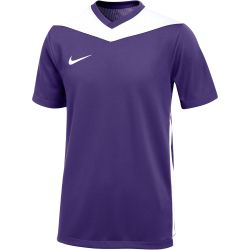 NIKE Park Derby IV Dri-FIT Fußballtrikot Kinder 547...
