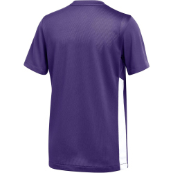 NIKE Park Derby IV Dri-FIT Fußballtrikot Kinder 547 - court purple/white/white S (128-137 cm)