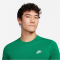 NIKE Sportswear Freizeit T-Shirt Herren 365 - malachite M