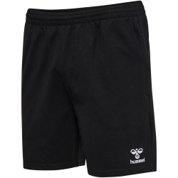 hummel SV Werder Bremen Travel Shorts 2024/25
