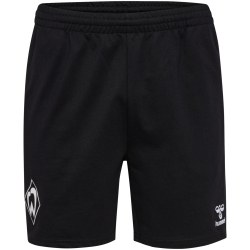 hummel SV Werder Bremen Travel Shorts 2024/25