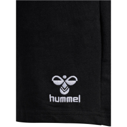 hummel SV Werder Bremen Travel Shorts 2024/25