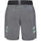 hummel SV Werder Bremen Pro Trainingsshorts 2024/25