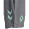 hummel SV Werder Bremen Pro Trainingsshorts 2024/25