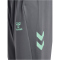 hummel SV Werder Bremen Pro Trainingshose 2024/25